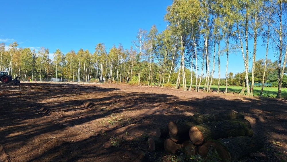 Mulczowanie,Wycinki drzew,Mulczer Leśny Wgłębny,Koparka gąsienicowa