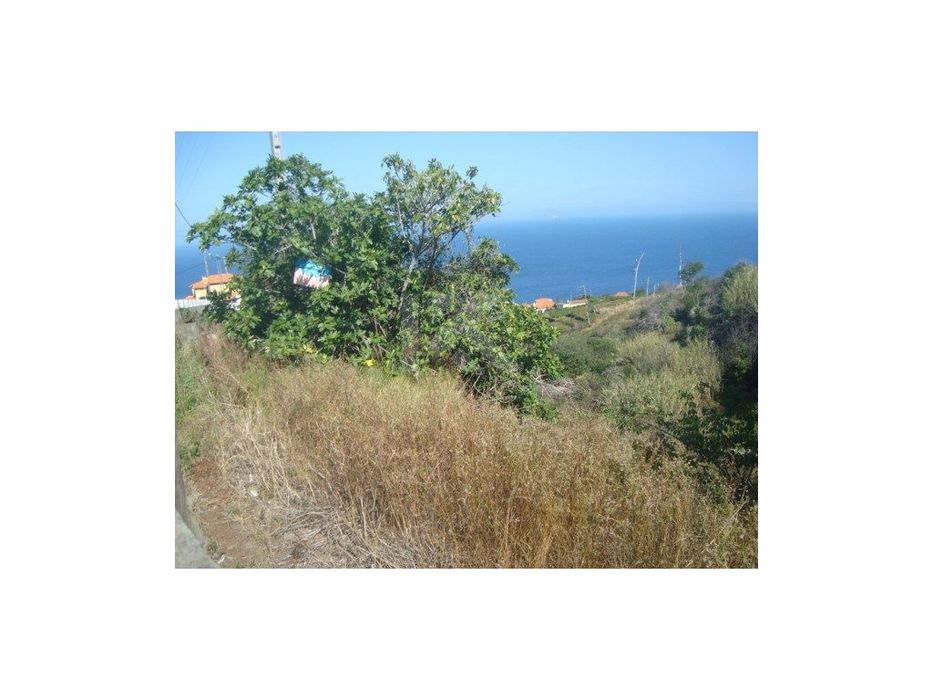 Terreno em Gaula