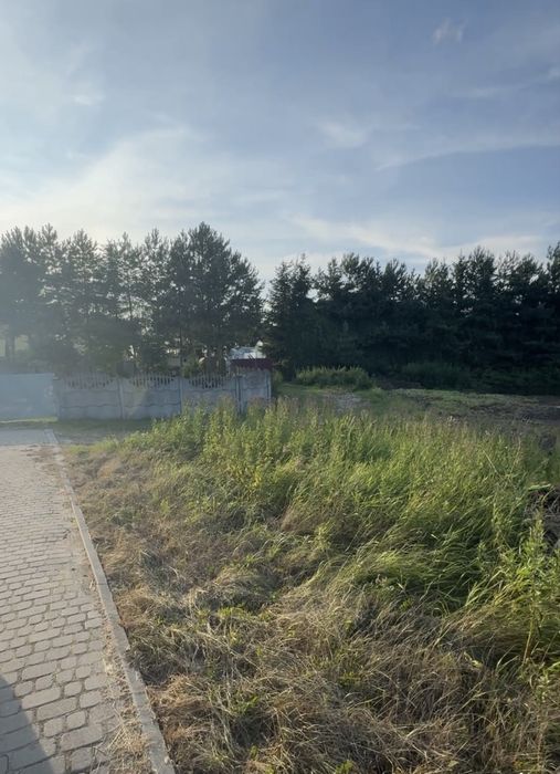 Продаж земельна ділянка Пасіки Зубрицькі 300 сотих під будівництво