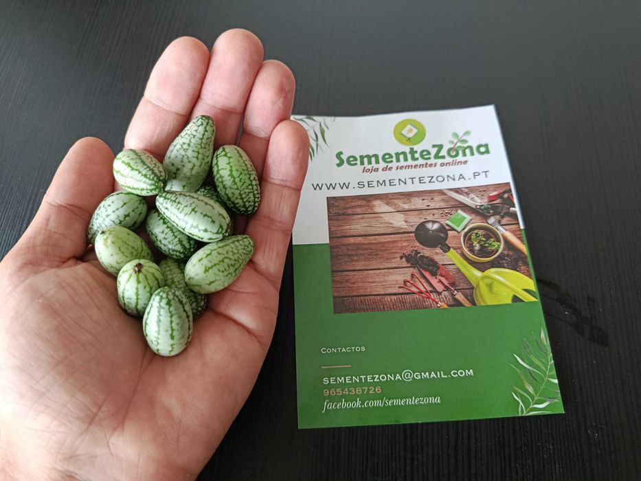 10 sementes de Pepino Cucamelon variedade rara