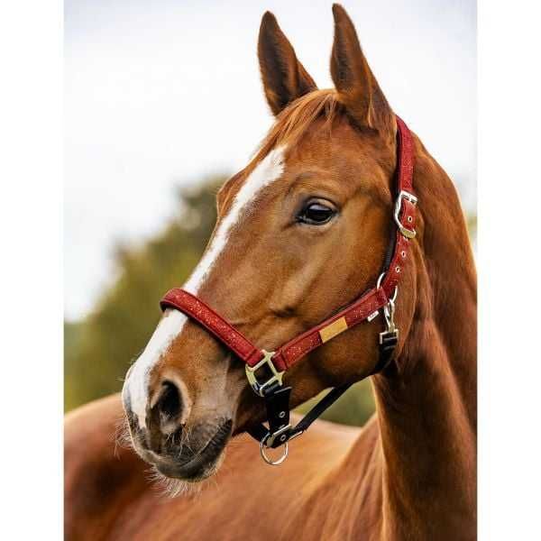 Niedostępny kantar Lovequestrian cob czerwony brokat cherry glitter