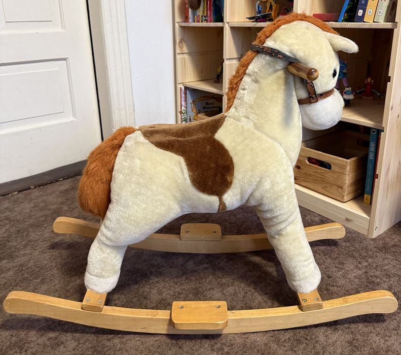 Konik na biegunach