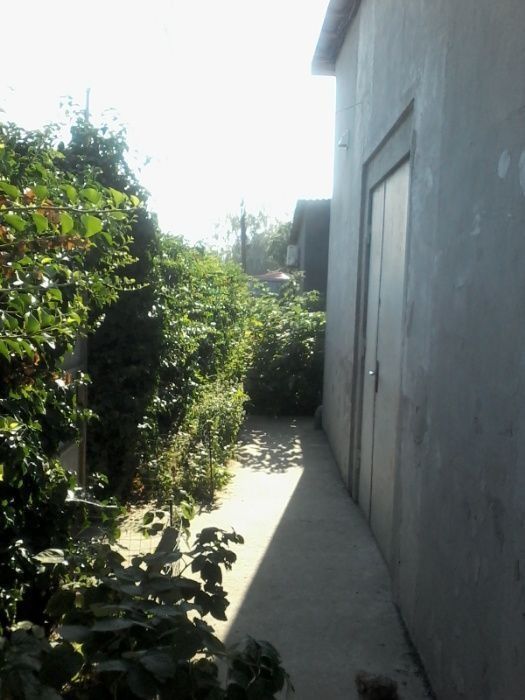 продам дом около центрального рынка