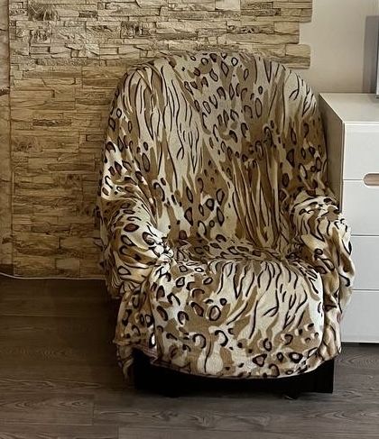 Диван+два крісла(можно окремо)