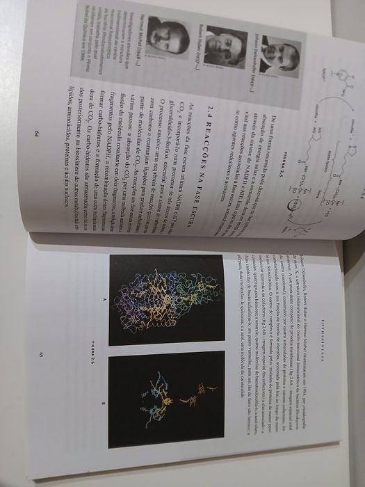 Livro Biossíntese de Produtos Naturais