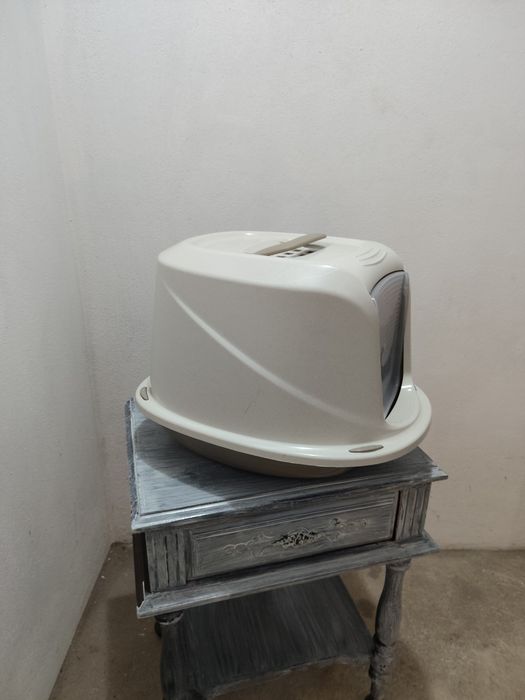 Caixa de areia para gato