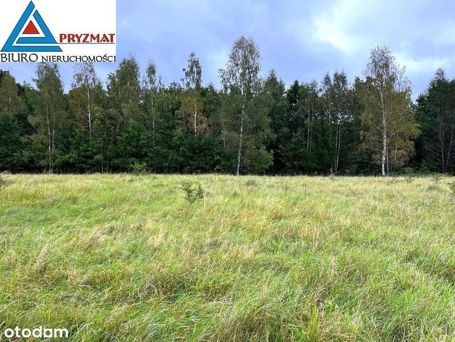 Kolonia Maruny - Działki Do Sprzedaży!