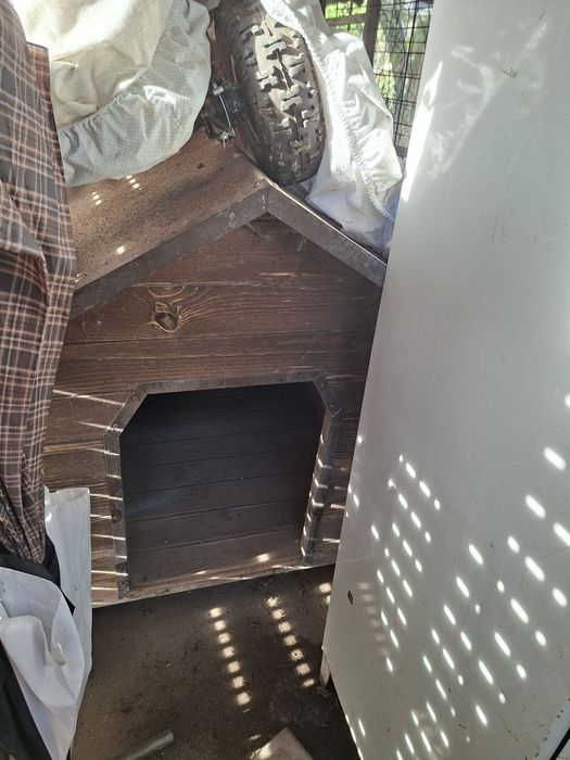 Casota para cães