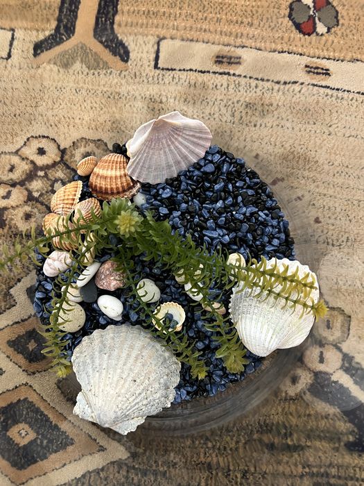 Aquário em Vidro com Decoração