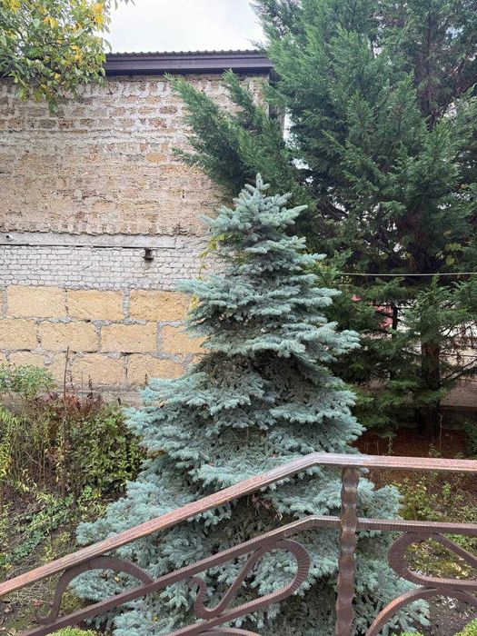 Продаётся добротный дом у моря! Участок 10 соток! Царское село. 1L55