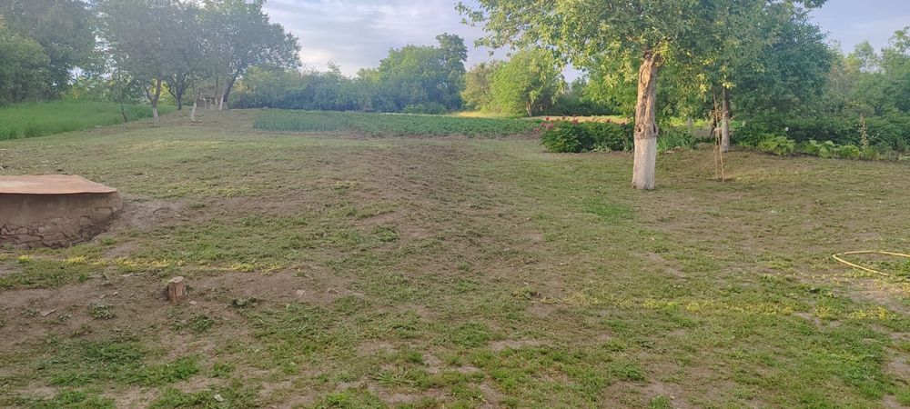 Продам дім в смт Вільшана