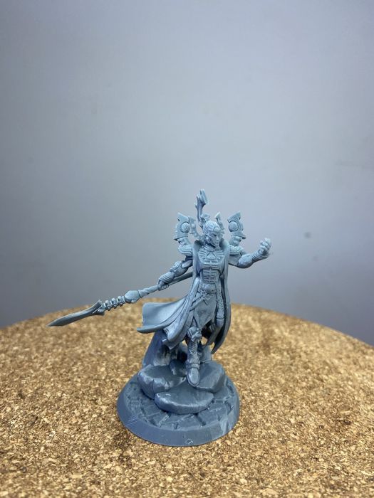 Aeldari combat patrol druk 3d