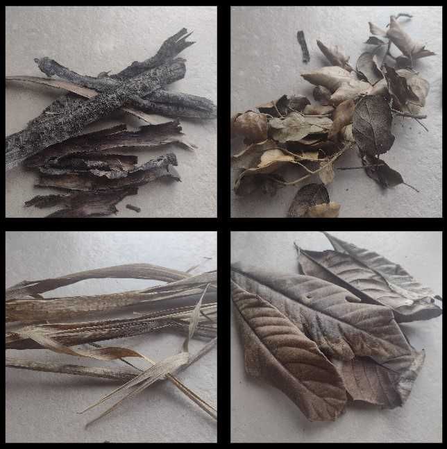 Botânicos e Troncos para Aquário (faço envios)