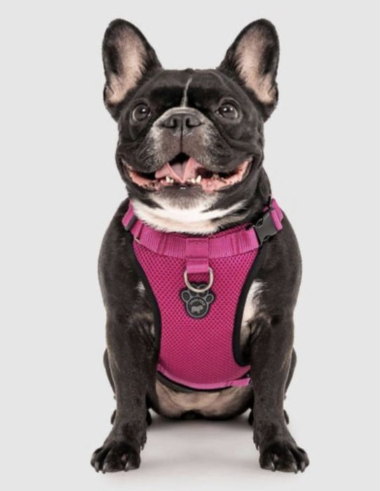 Шлейка для собак р.m everything harness