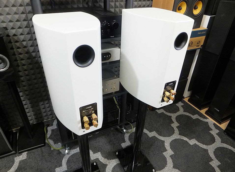 Audiofilskie kolumny głosnikowe monitory CANTON REFERENCE 9.2 DC