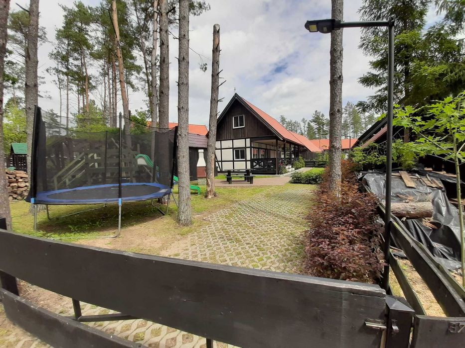 Wolny termin na  MAJÓWKĘ I LATO