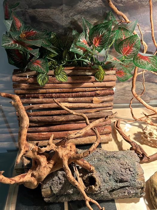 Terrarium 140x60x50 + szafka | pełne wyposażenie.