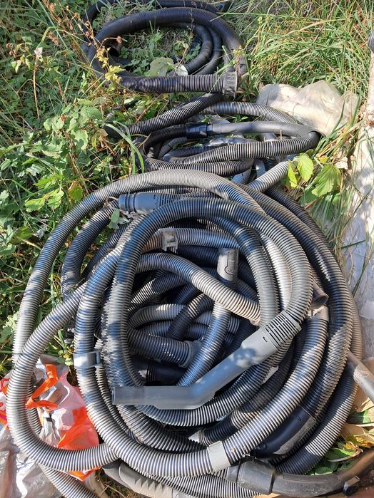 Ssawka mała szczelinowa