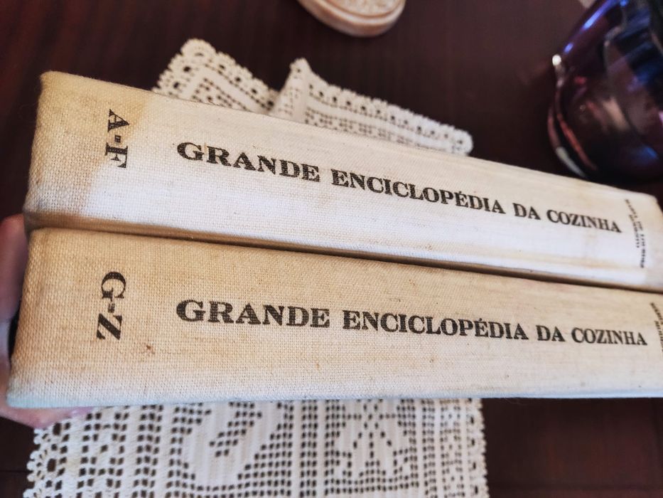 Vendo 2 livros Maria Lourdes Modesto