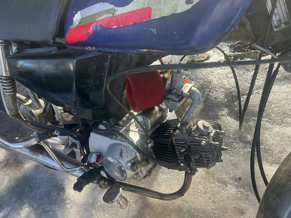 Мустанг альфа 110