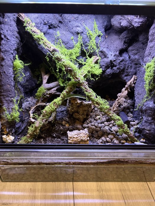 Terrarium z wodospadem