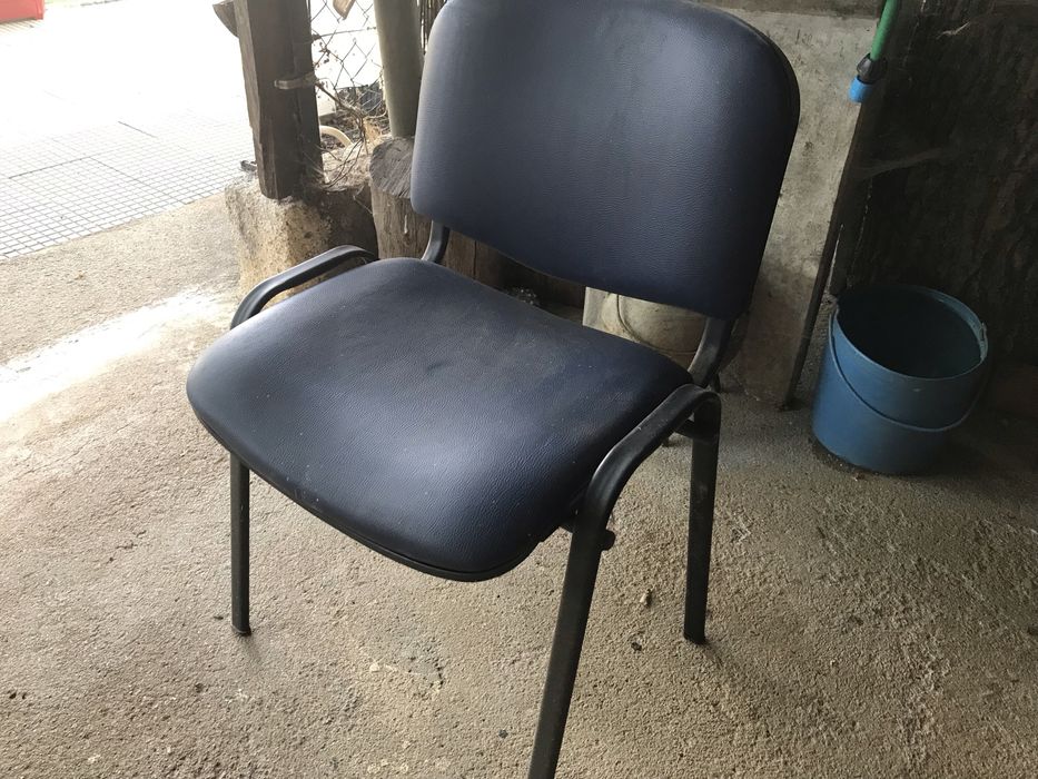 10 cadeiras almofadadas