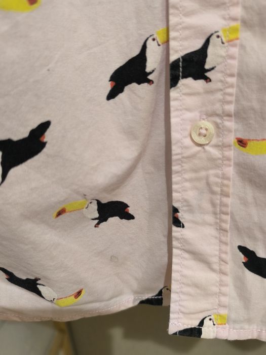 Camisa de verão Aéropostale