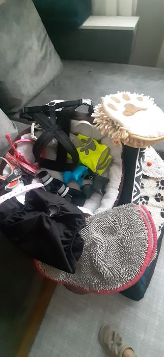 Лежанки , одяг , амуніція , та багато іншого