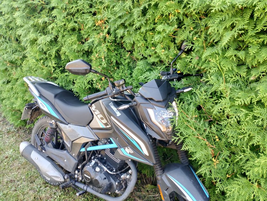 Мустанг регіон 200 мт-9