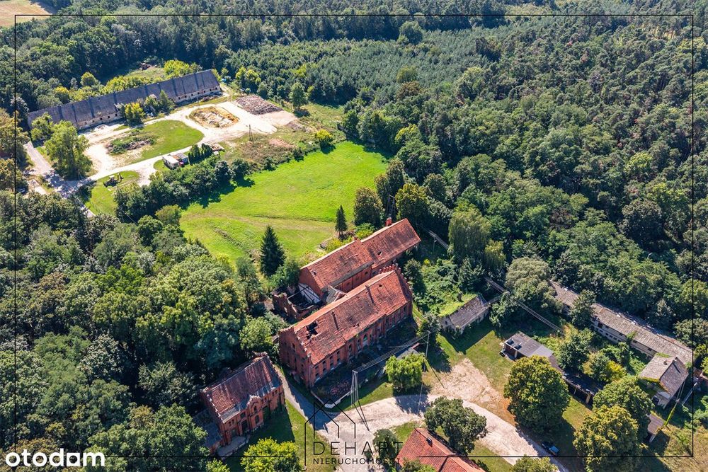 Działka 1,09 ha z zabytkową gorzelnią | Góra k. Jarocina - Widok 5