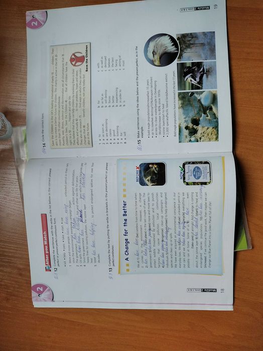 Робочий зошит до диску Activity Book DVD