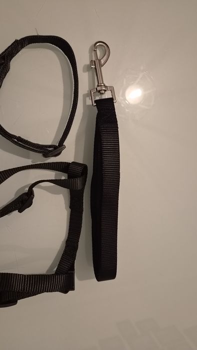 Trela + coleira + peitoral para cachorro .