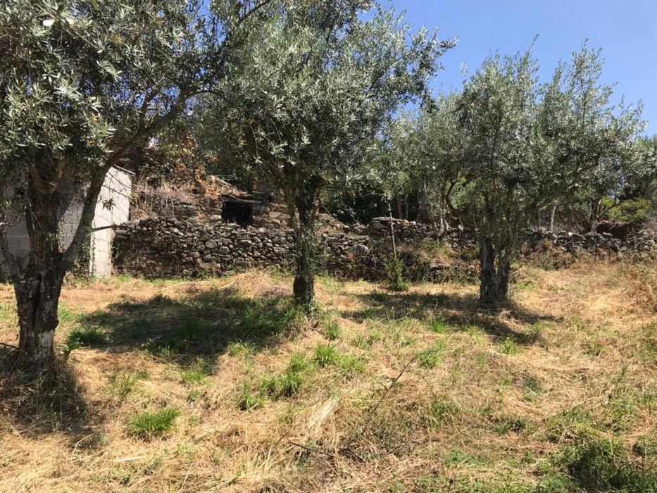 Casa de pedra rústica com registo de habitação dois pisos