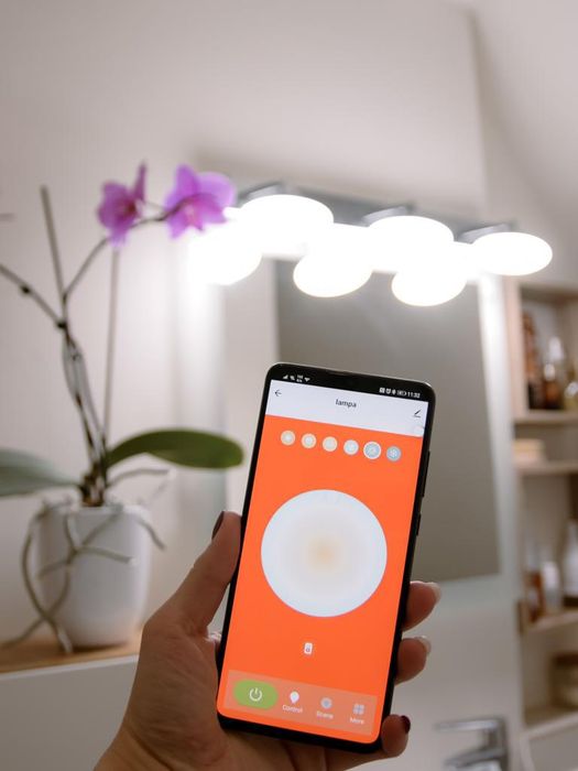 Lampa LED WiFi ORBIS WALL ELYPSE 18W, inteligentna, łazienkowa