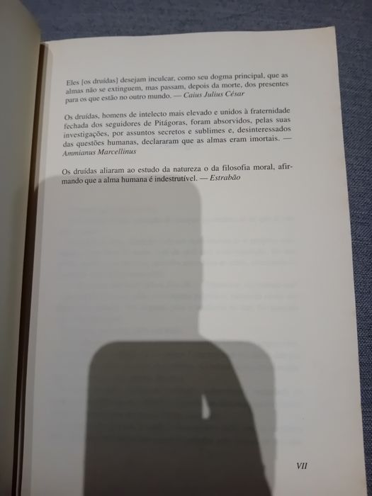 Os Druídas • Morgan Llywelyn