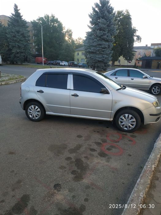Skoda Fabia 2006 | 1.2 газ/бензин