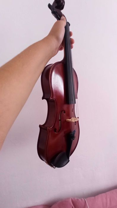 Violino Thomann (case e mais acessórios)