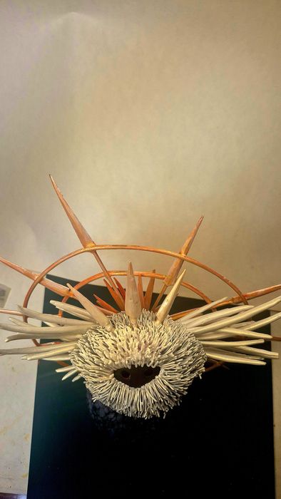 hollow knight radiance