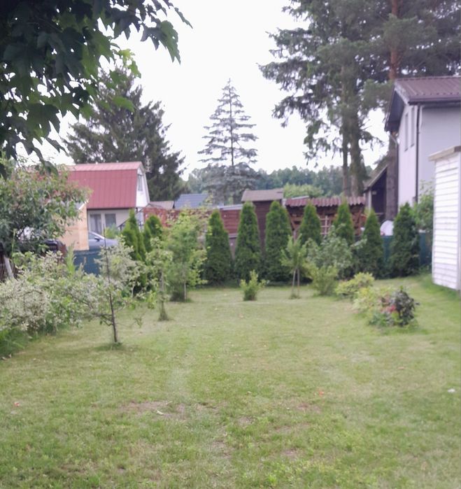 Działka ROD im. E.Plater na sprzedaż - Widok 4