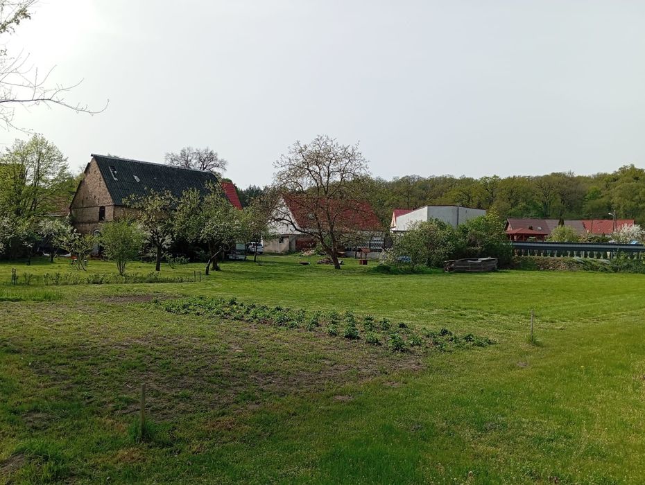 Sprzedam dom w Dąbroszynie