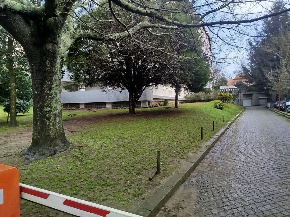 Podas e abates de árvores