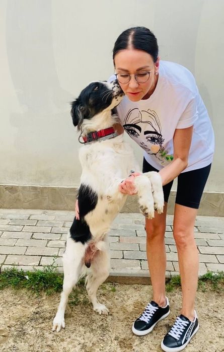 Песик Джек шукає родину