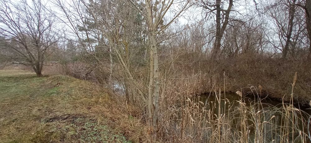 Продаж будинку,дачі