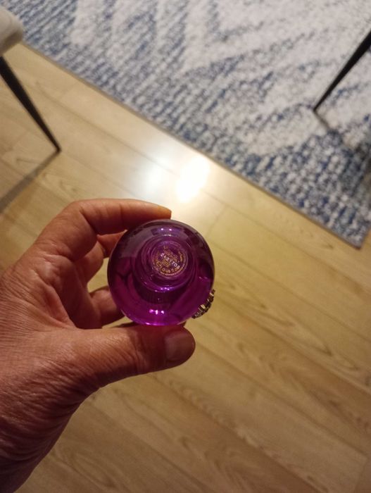 Versace Dylan Purple zestaw damski