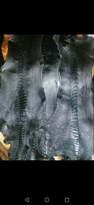 Кожа лап страуса