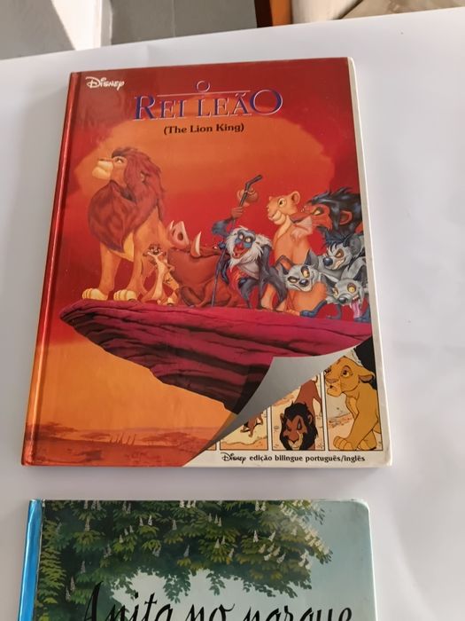 3 livros infantis (Rei Leão,Anita no Parque e A Ovelha)