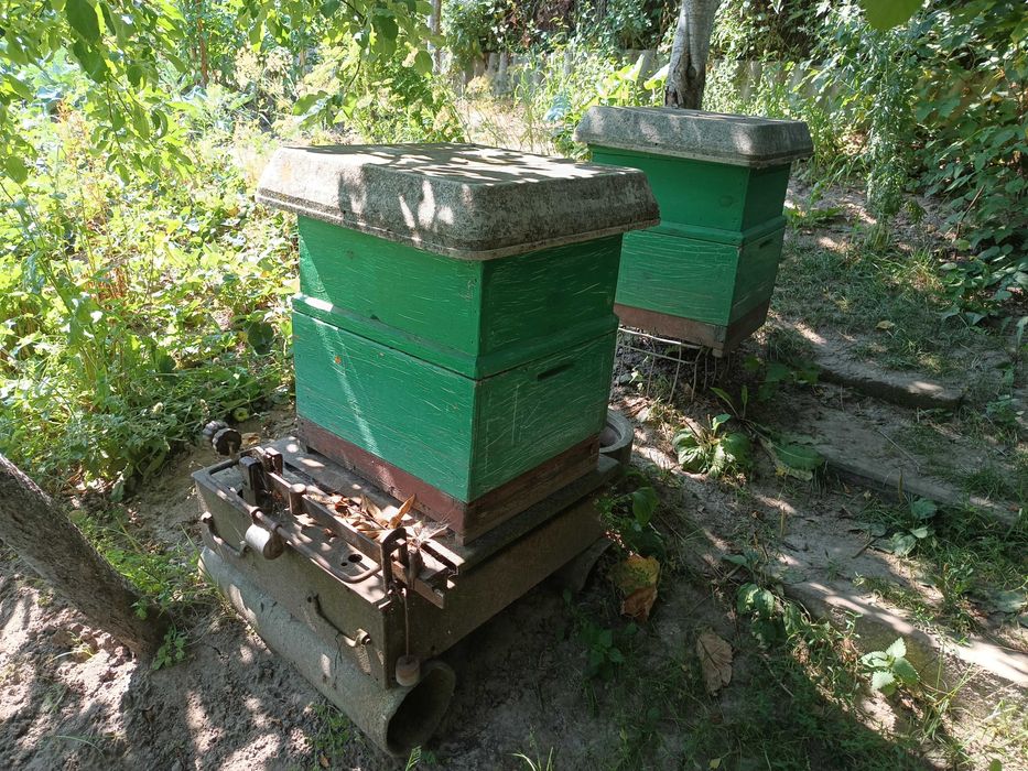 Пчело инвентарь, весы, ульи, медогонка