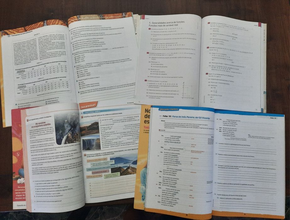 Cadernos de atividades 10° ano