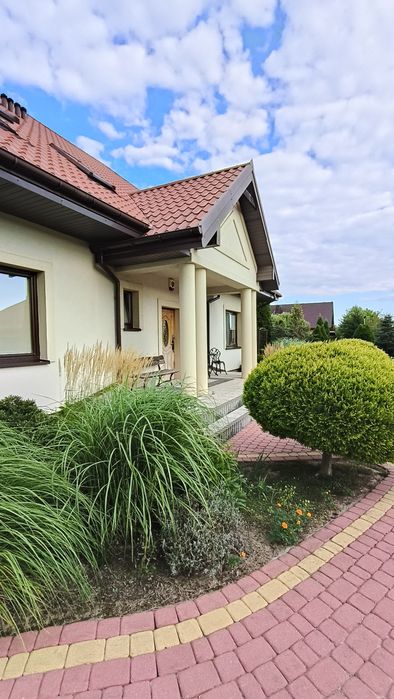 Zdjęcie 8