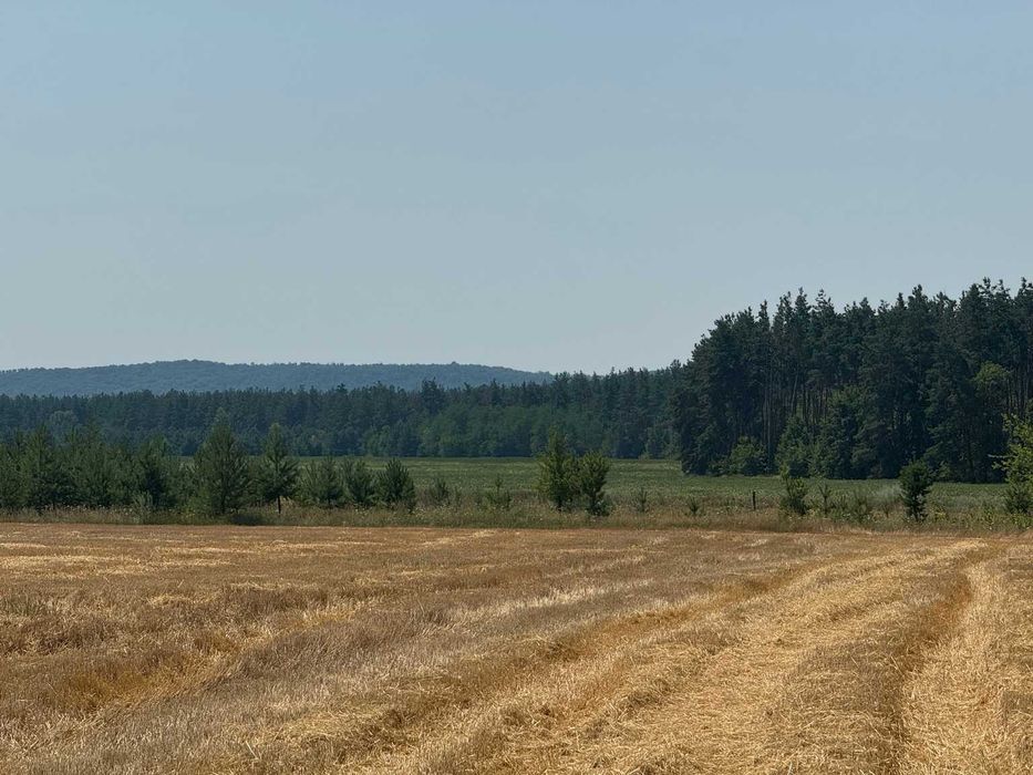 10 соток біля Дніпра та лісу з видом на Тарасову гору — 1500$